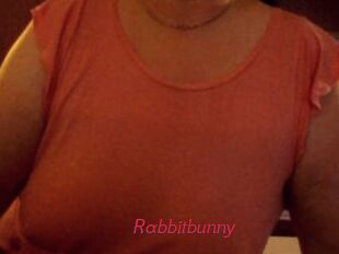 Rabbitbunny