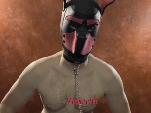 Rabochii
