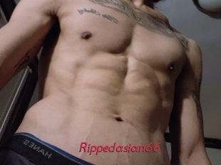 Rippedasian66