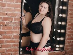 Rosaliebigboobs