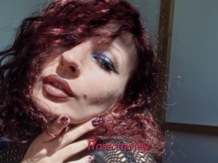 rosecrowley Red Movie Post