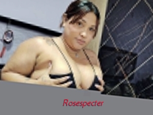 rosespecter Red Movie Post