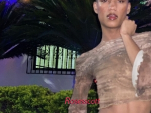 rosesscott Red Movie Post