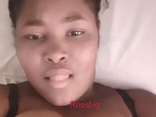 Rosisbig