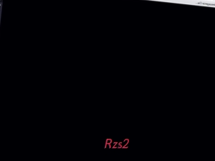 Rzs2