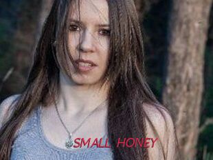 SMALL_HONEY
