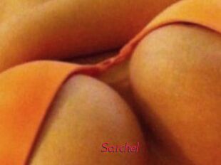 Satchel