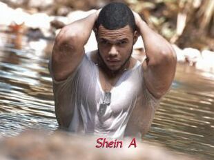 Shein_A