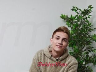 SheldonKlein