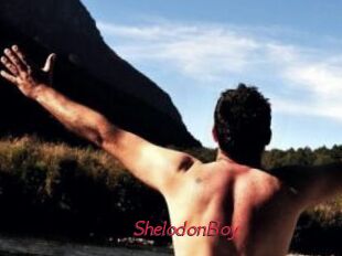 ShelodonBoy