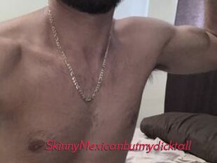 SkinnyMexicanbutmydicktall