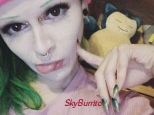 SkyBurrito