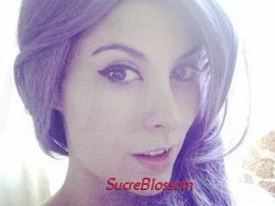SucreBlossom