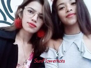 SunFlowerhots