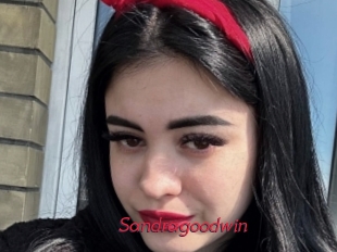 Sandragoodwin