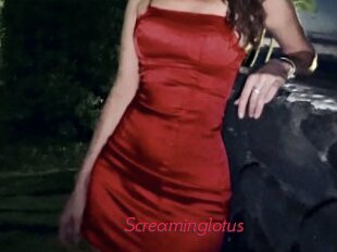 Screaminglotus