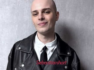 sebastianhort Red Movie Post