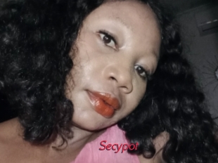 Secypot