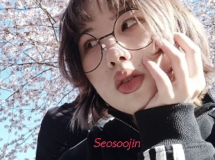 Seosoojin