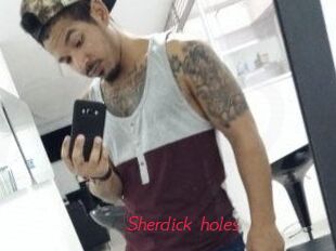 Sherdick_holes