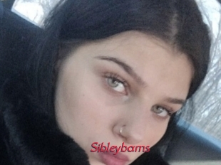 Sibleybarns