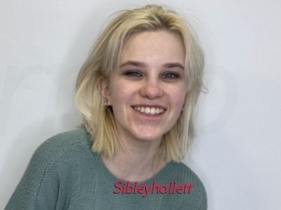 Sibleyhallett