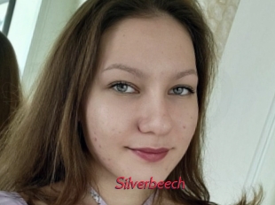 Silverbeech
