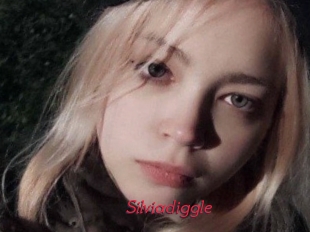 Silviadiggle