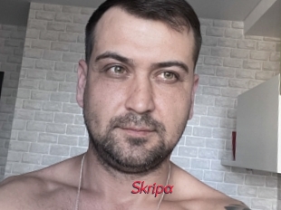 Skripa