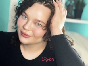 Skybri