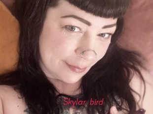 Skylar_bird