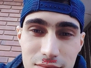 Skyleer