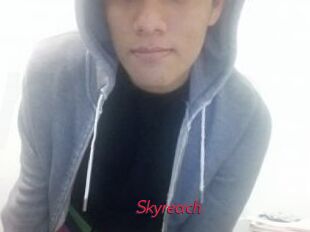 Skyreach