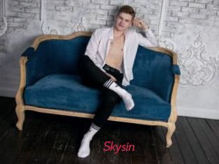 Skysin