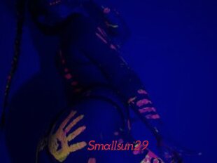 Smallsun29