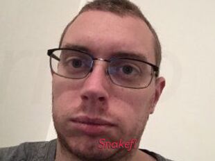 Snakefl