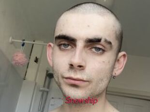 Snowship