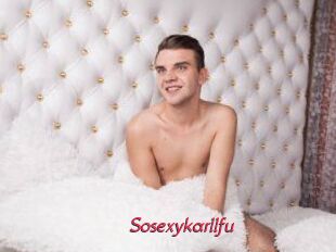 Sosexykarllfu