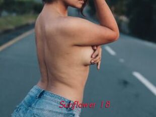 Sunflower_18