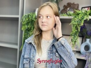 Synnefugler
