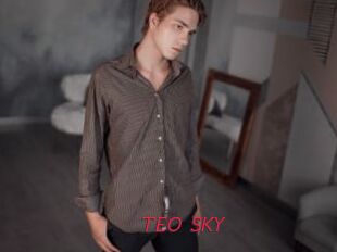 TEO_SKY