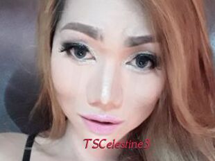 TSCelestine3