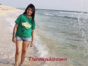 Thenewpukiintown