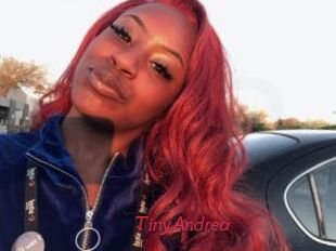 TinyAndrea