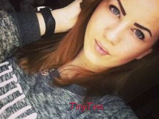 TinyTess