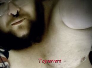 Toyservent