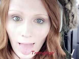 Transginger
