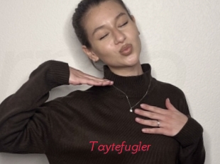 Taytefugler
