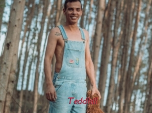 Teddhill