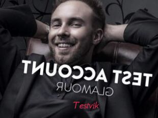 Testvik